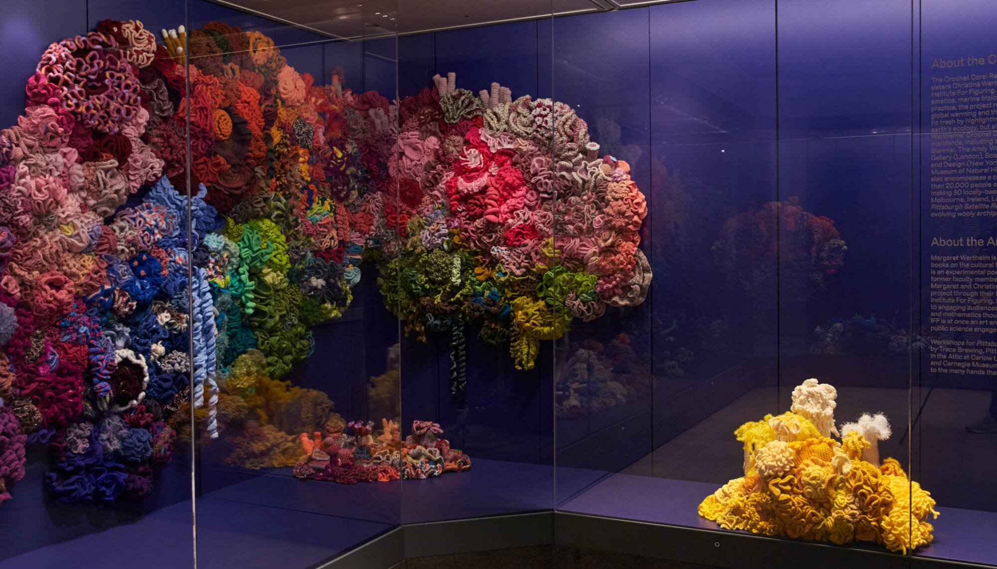 🏛️ 산호 박물관(무세오 델 코랄로 디 알게로)